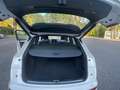 Audi Q5 Q5 40 2.0 tdi mhev 12V Sline Plus quattro s-tronic Weiß - thumbnail 5
