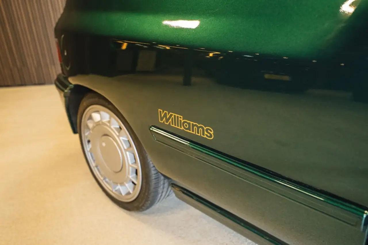 Renault Clio Williams uitgevoerd, pioneer, goede staat, foto 7