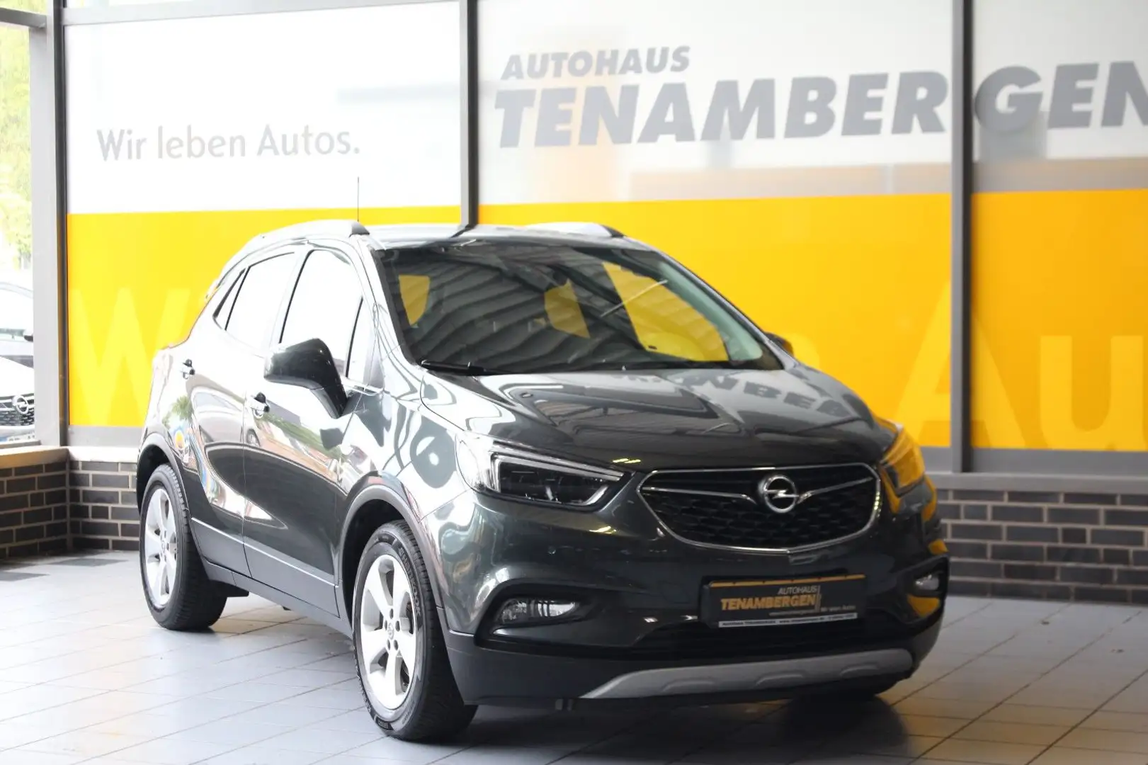 Opel Mokka X Inno Schiebedach Leder Kamera LED AHK Grau - 2
