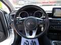 Kia Ceed / cee'd 1.6 CRDi 115 CV SW Business Class N1 Bianco - thumbnail 14