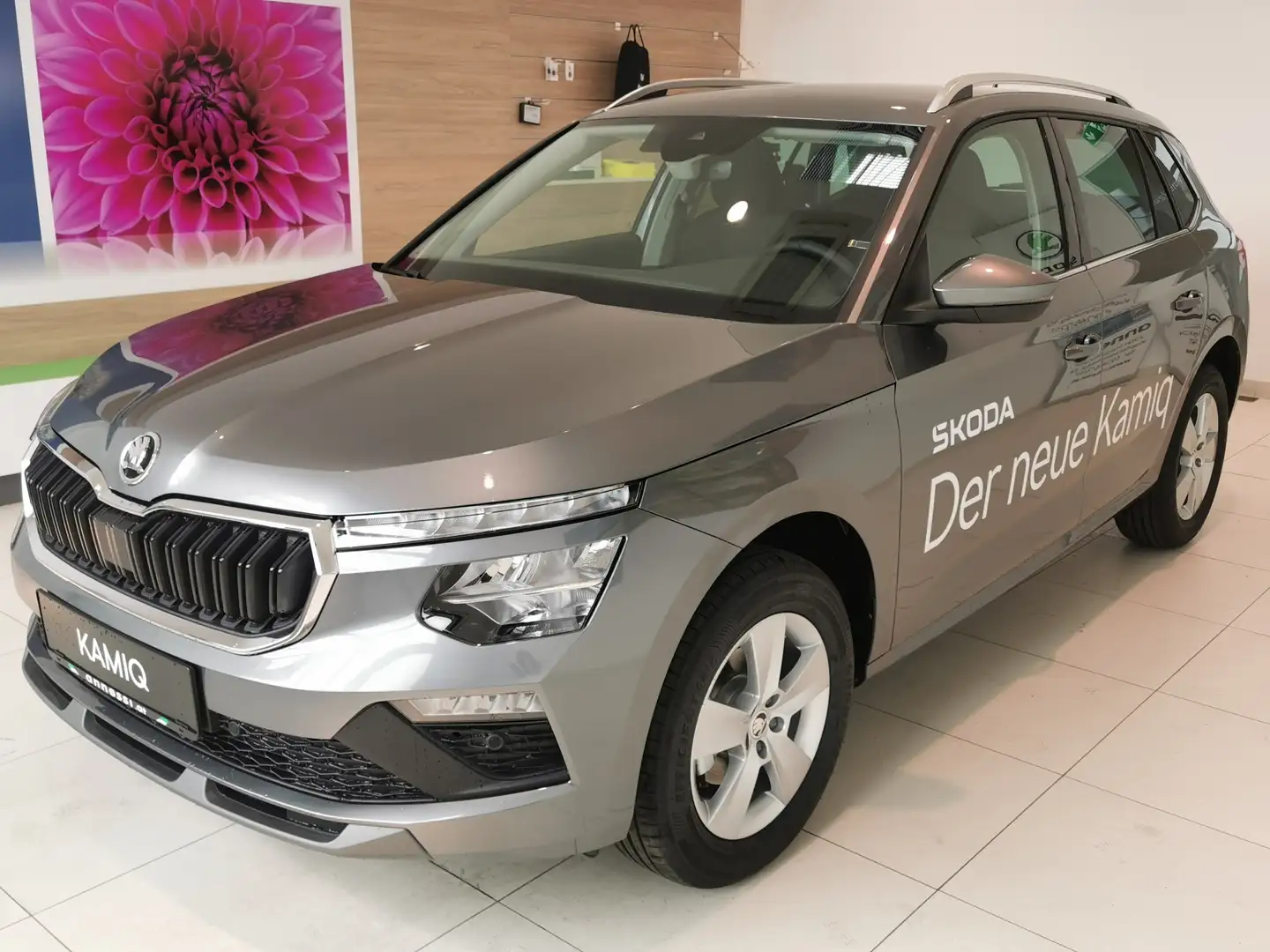 Skoda Kamiq Selection Grau - 1