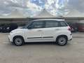 Fiat 500L 1.3 mjt Business 95cv - thumbnail 3