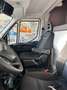 Iveco daily Weiß - thumbnail 3
