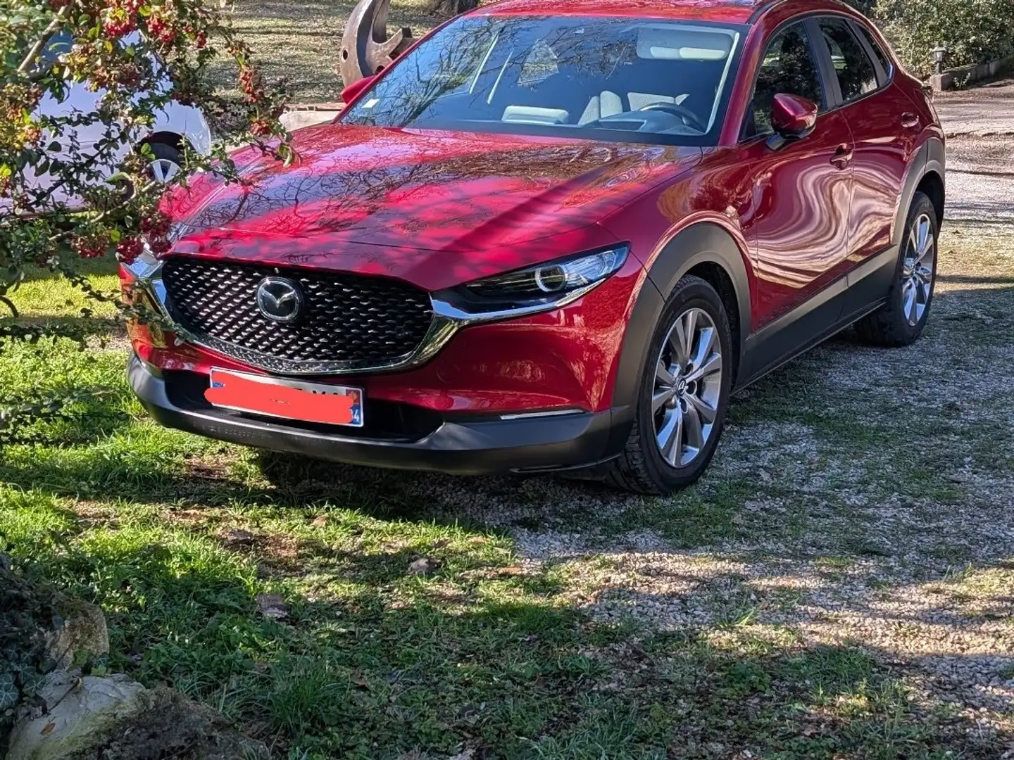 Mazda CX-30 2.0L SKYACTIV-G M Hybrid 122 ch 4x2 BVA6 Style - 1