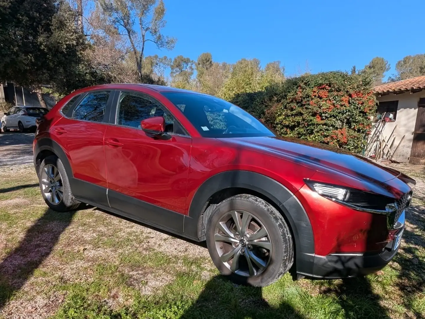 Mazda CX-30 2.0L SKYACTIV-G M Hybrid 122 ch 4x2 BVA6 Style - 2