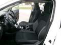 Nissan Qashqai Qashqai 1,2 DIG-T NConnecta Xtronic TOPGEBRAUCHTER Weiß - thumbnail 17