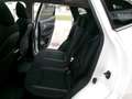 Nissan Qashqai Qashqai 1,2 DIG-T NConnecta Xtronic TOPGEBRAUCHTER Weiß - thumbnail 21