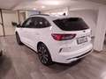 Ford Kuga ST-Line 2.5 Duratec PHEV 165kW Auto 225CV Blanc - thumbnail 5