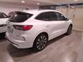 Ford Kuga ST-Line 2.5 Duratec PHEV 165kW Auto 225CV Blanc - thumbnail 6