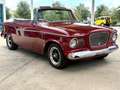 Studebaker Sonstige VIII Regal - thumbnail 4