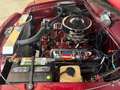 Studebaker Sonstige VIII Regal - thumbnail 36
