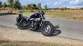 Harley-Davidson Sportster Forty Eight Argento - thumbnail 4