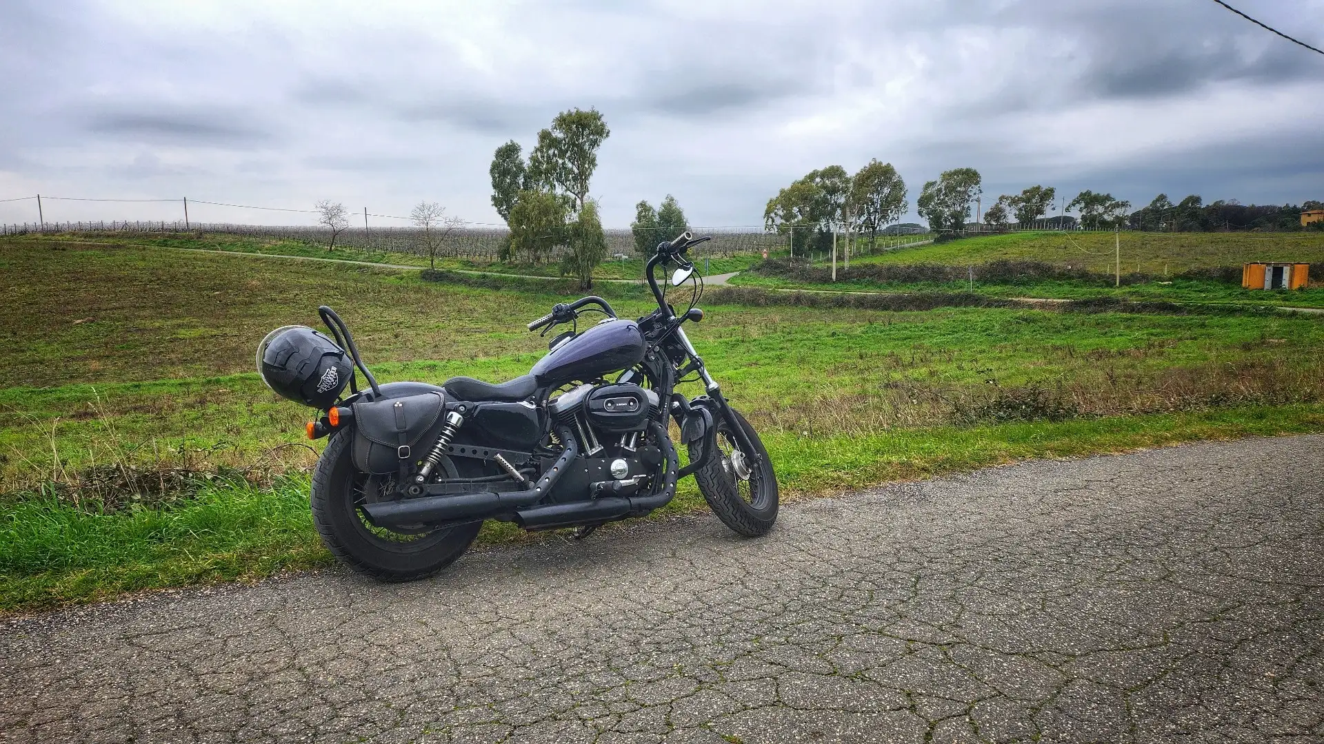 Harley-Davidson Sportster Forty Eight Argento - 2