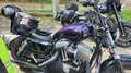 Harley-Davidson Sportster Forty Eight Argento - thumbnail 3