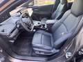 Subaru Sonstige E-Outback Asama Bronze - thumbnail 18