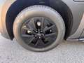 Subaru Sonstige E-Outback Asama Bronze - thumbnail 12