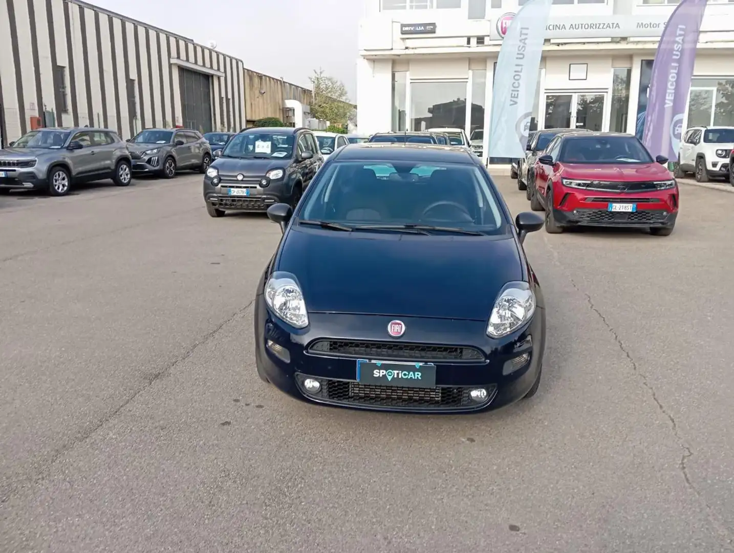 Fiat Punto *PROMO* 1.3 MJT II S&S 95 CV 5 porte Street Bleu - 2