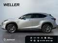 Lexus NX 300h Executive Line *Bi-LED*CAM*Leder*el Sitze* Argent - thumbnail 5