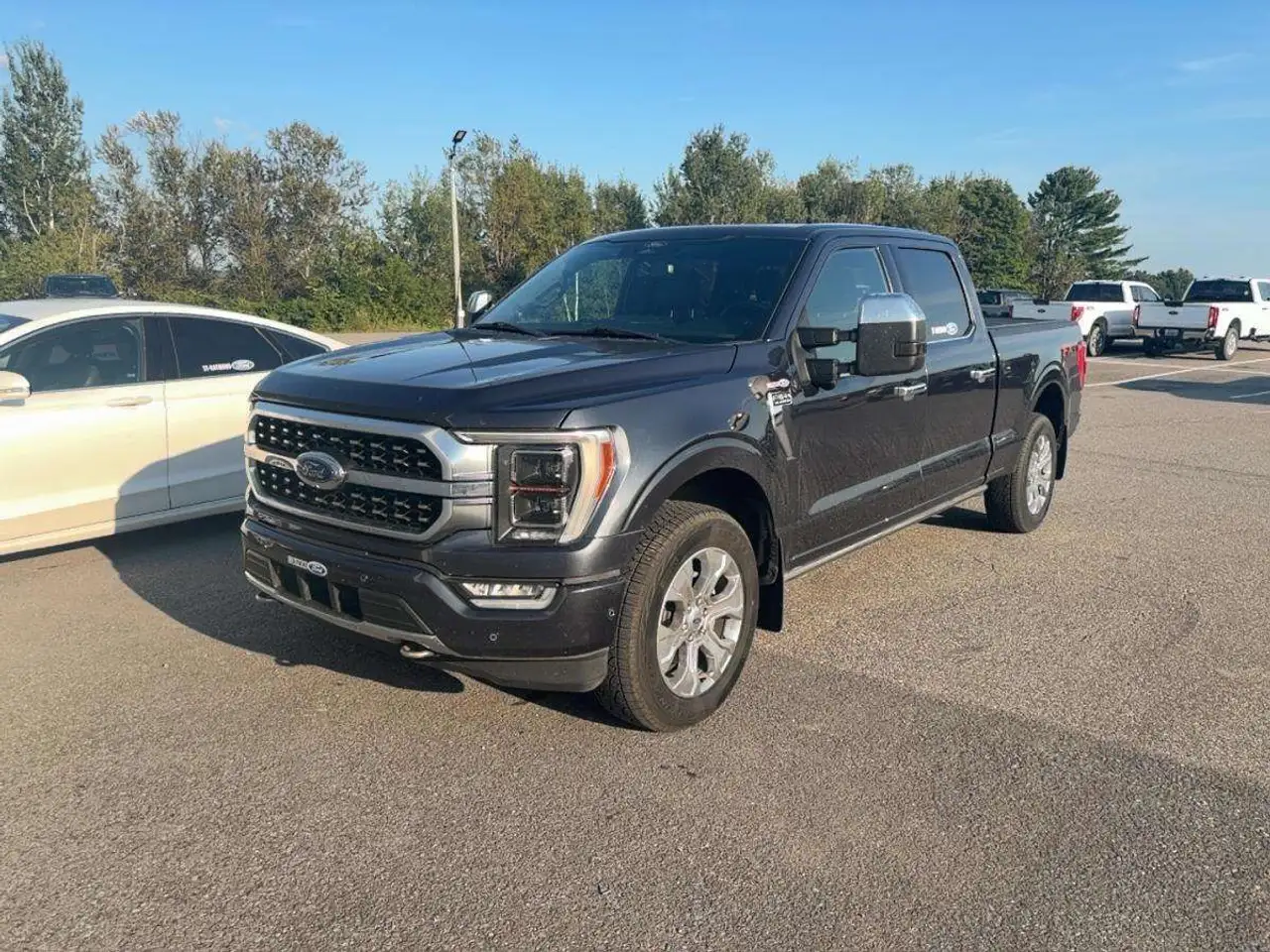 2022 Ford F 150