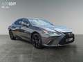 Lexus ES 300 ES300h Business Line LED*Schiebedach*CarPlay*Navi Grigio - thumbnail 8