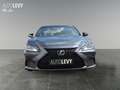 Lexus ES 300 ES300h Business Line LED*Schiebedach*CarPlay*Navi Grigio - thumbnail 9