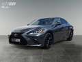Lexus ES 300 ES300h Business Line LED*Schiebedach*CarPlay*Navi Grigio - thumbnail 2