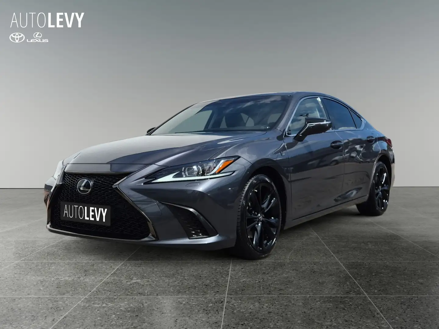 Lexus ES 300 ES300h Business Line LED*Schiebedach*CarPlay*Navi Grau - 2