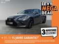 Lexus ES 300 ES300h Business Line LED*Schiebedach*CarPlay*Navi Grigio - thumbnail 1
