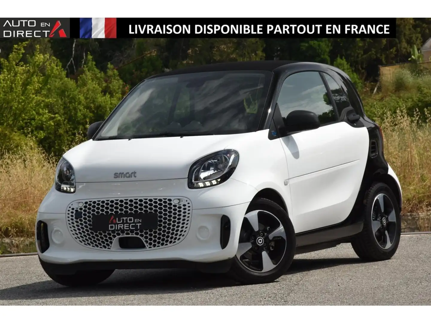 smart forTwo Smart EQ Fortwo Coupe - 82  COUPE II 2014 Passion  Blanc - 1