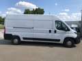 Opel Movano C Kasten HKa L3H2 3,5t Edition Blanc - thumbnail 4