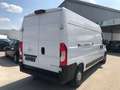 Opel Movano C Kasten HKa L3H2 3,5t Edition Blanc - thumbnail 9