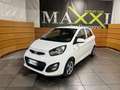 Kia Picanto Picanto II 2011 1.0 Cool Gpl 5p Bianco - thumbnail 1