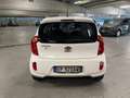 Kia Picanto Picanto II 2011 1.0 Cool Gpl 5p Bianco - thumbnail 13