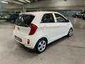 Kia Picanto Picanto II 2011 1.0 Cool Gpl 5p Bianco - thumbnail 12