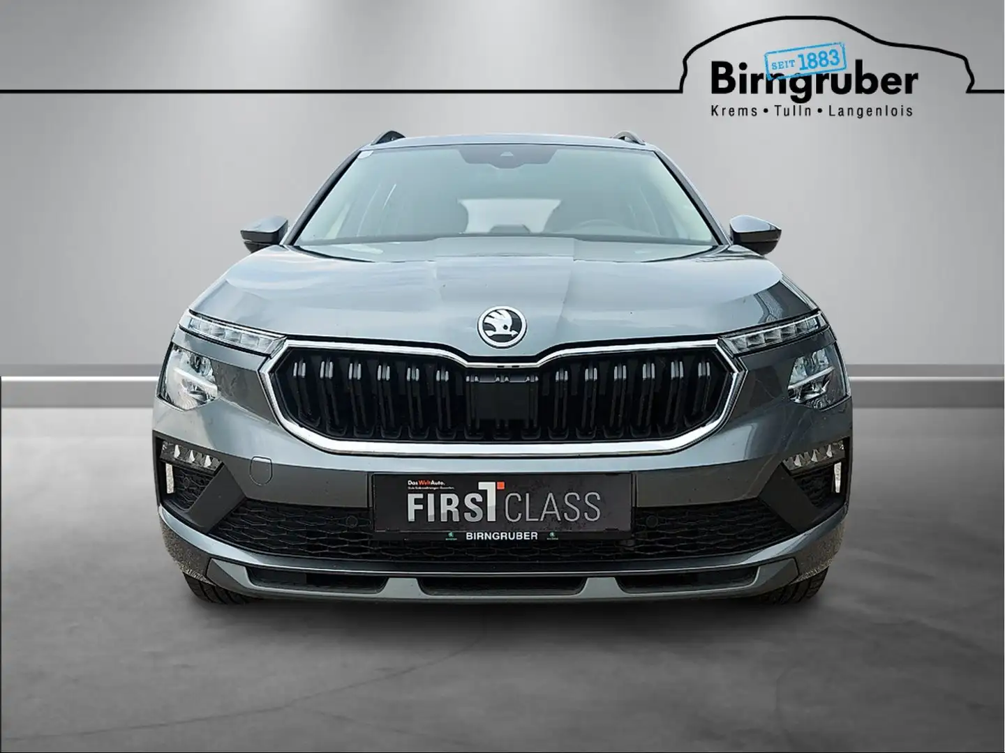 Skoda Kamiq Selection TSI Grau - 2