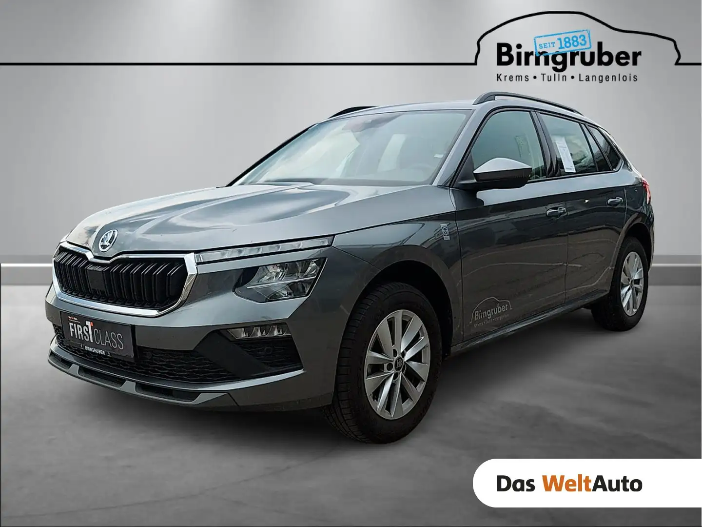 Skoda Kamiq Selection TSI Grau - 1