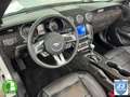 Ford Mustang Convertible 2.3 EcoBoost Aut. Bianco - thumbnail 11