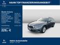 Skoda Octavia Combi 2.0TDI Active Klima LED APP DAB Grau - thumbnail 2