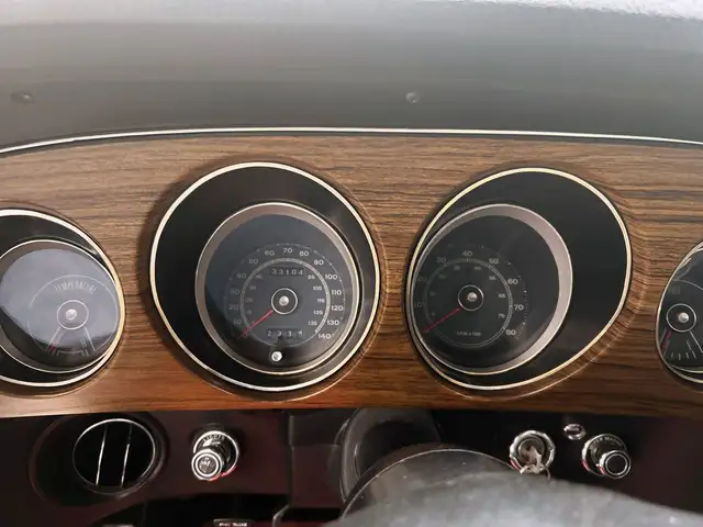 Ford Mustang view 22