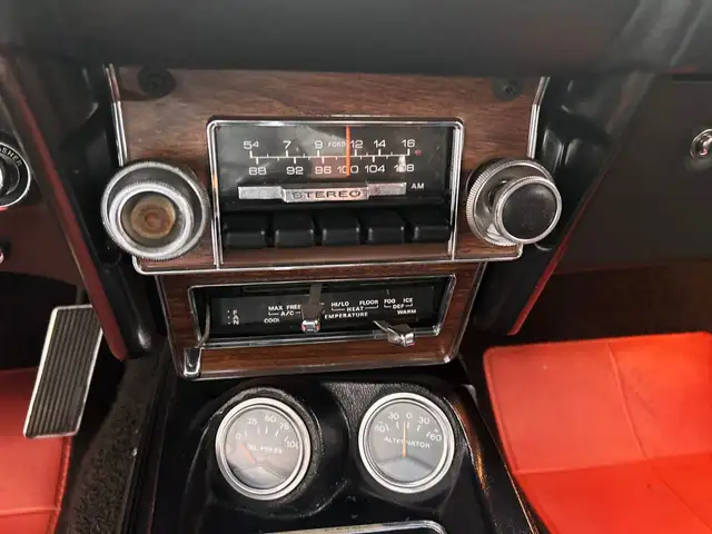 Ford Mustang view 14