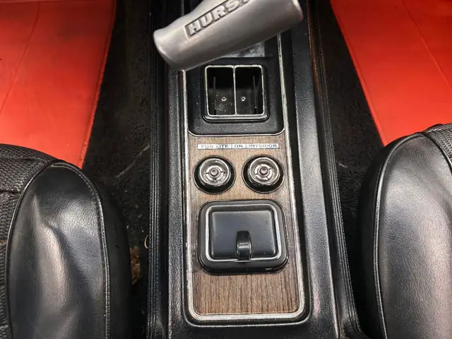 Ford Mustang view 20