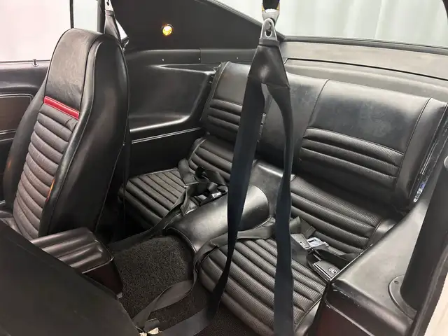 Ford Mustang view 16