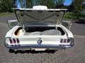 Ford Mustang Coupe 4.7ltr. V8 Automatik top Zustand Blanc - thumbnail 13