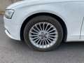 Audi A4 2012 Avant 2.0 tdi Advanced 143cv multitronic Bianco - thumbnail 4