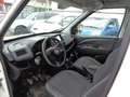 Fiat Doblo SX Maxi Kasten Blanco - thumbnail 12