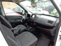 Fiat Doblo SX Maxi Kasten Blanco - thumbnail 16