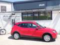 SEAT Arona 1,0 Eco TSI Style Rot - thumbnail 2