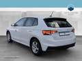 Skoda Fabia 1.0 TSI Selection KlimaA*LED*LM*Navi*PDC Weiß - thumbnail 4
