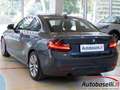 BMW 220 218D COUPE SPORT AUTOM 150CV UNICO PROPRIETARIO Gris - thumbnail 21