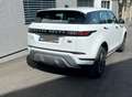 Land Rover Range Rover Evoque 2,0 D150 Aut. Weiß - thumbnail 5